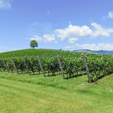 Ibisco בית נופש Ca Lino