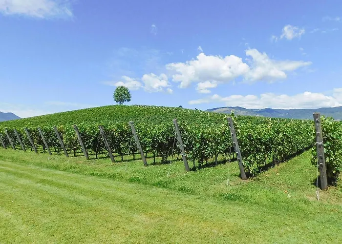 Ibisco Holiday home Ca Lino